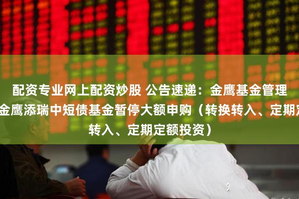 配资专业网上配资炒股 公告速递：金鹰基金管理有限公司金鹰添瑞中短债基金暂停大额申购（转换转入、定期定额投资）
